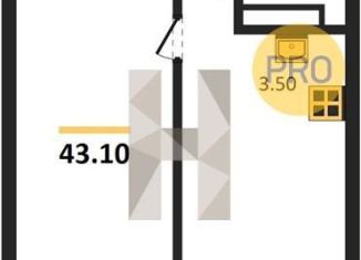 Однокомнатная квартира на продажу, 43.1 м2, Новосибирск