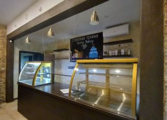 Продажа помещения свободного назначения, 37.2 м2, Санкт-Петербург, улица Бабушкина, 84к1, метро Пролетарская