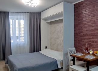 Сдается в аренду квартира студия, 27 м2, Всеволожск, шоссе Дорога Жизни, 7к2