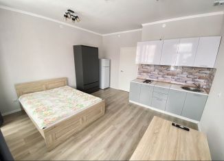 Сдача в аренду квартиры студии, 26.4 м2, Сертолово, улица Мира, 9к2