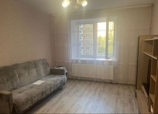 2-ком. квартира в аренду, 50 м2, село Осиново, улица Марата Ахметшина, 3