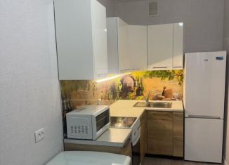 2-комнатная квартира на продажу, 35.3 м2, Воронеж, жилой массив Олимпийский, 17, ЖК Русский Авангард