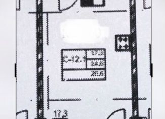 Продается квартира свободная планировка, 24.6 м2, поселок Романовка, посёлок Романовка, 33