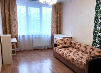 Сдается 2-ком. квартира, 50 м2, Санкт-Петербург, Дальневосточный проспект, 46/28, Невский район