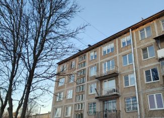 Продажа 2-комнатной квартиры, 45 м2, Санкт-Петербург, Ленинский проспект, 162к2, муниципальный округ Новоизмайловское