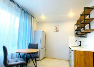 Продажа квартиры студии, 16.7 м2, Котельники, микрорайон Белая Дача, 11