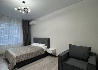 1-ком. квартира в аренду, 50 м2, Ессентуки, улица Луначарского, 11