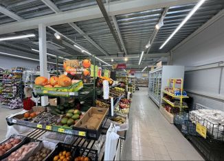 Торговая площадь на продажу, 440 м2, деревня Дема, Лесная улица, 1Б