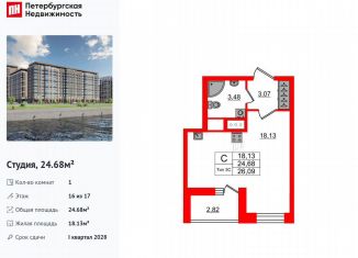 Продам квартиру студию, 24.7 м2, Санкт-Петербург, муниципальный округ Невский