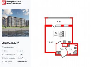 Продается квартира студия, 25.5 м2, Санкт-Петербург, муниципальный округ Невский