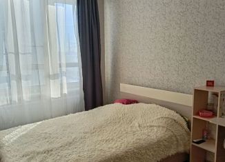 Сдам в аренду 1-комнатную квартиру, 38 м2, посёлок Парголово, Брюлловская улица, 5, ЖК Континенты