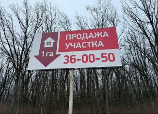 Продаю земельный участок, 100 сот., деревня 1-я Моква