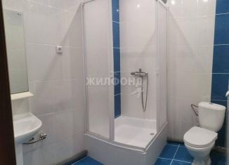 Продается 3-ком. квартира, 60.8 м2, Новосибирск, метро Сибирская, Красный проспект, 173