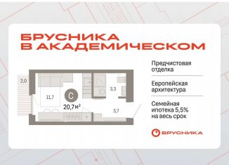 Квартира на продажу студия, 20.7 м2, Екатеринбург, метро Чкаловская