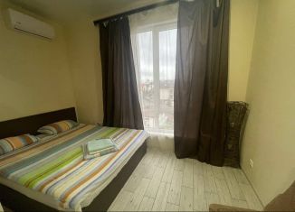 Продаю 1-комнатную квартиру, 28 м2, посёлок городского типа Сириус, переулок Кувшинок, 8