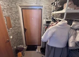 Продается 1-комнатная квартира, 28 м2, Бор, улица Металлургов, 25