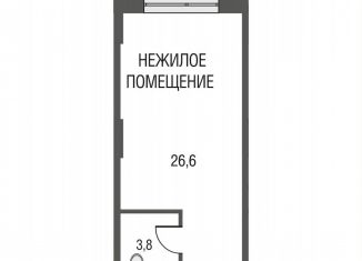 1-комнатная квартира на продажу, 30.3 м2, Москва, метро Электрозаводская, Большая Почтовая улица, 24