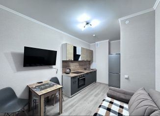 Сдаю 1-комнатную квартиру, 34 м2, посёлок Парголово, Брюлловская улица, 3, ЖК Континенты