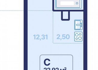 Продажа квартиры студии, 22.9 м2, поселок Северка, улица Космонавтов, 9