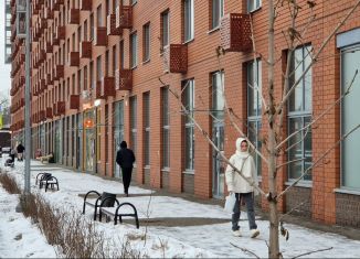 Сдается в аренду помещение свободного назначения, 75 м2, посёлок городского типа Томилино, микрорайон Птицефабрика, 35к1