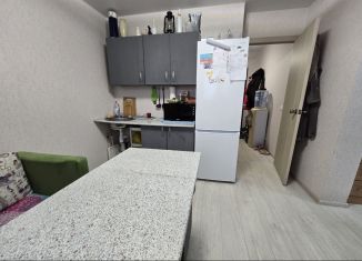 Продажа квартиры студии, 28 м2, Ростов-на-Дону, улица Теряева, 8, ЖК Платовский