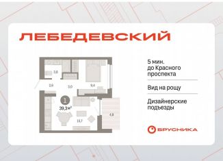 Продается 1-комнатная квартира, 39.3 м2, Новосибирск, Заельцовский район