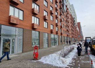 Аренда помещения свободного назначения, 60 м2, посёлок городского типа Томилино, микрорайон Птицефабрика, 35к1