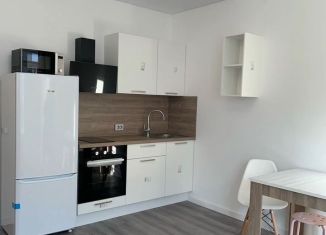 Аренда квартиры студии, 25 м2, Санкт-Петербург, Пулковское шоссе, 95к3