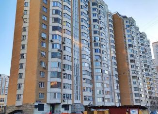 Продается квартира студия, 17 м2, Москва, Рождественская улица, 18, район Некрасовка