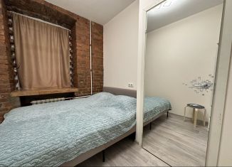 Сдается трехкомнатная квартира, 47 м2, Санкт-Петербург, улица Чапаева, 11/4, метро Площадь Ленина