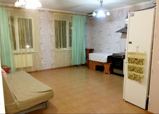 Сдаю в аренду квартиру студию, 30 м2, Краснодарский край, улица Видова, 210Г