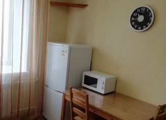 Сдам в аренду двухкомнатную квартиру, 67 м2, Пенза, Минская улица