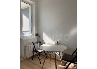 Сдается в аренду 1-комнатная квартира, 30 м2, Мурино, улица Шувалова, 19к2, ЖК Краски Лета
