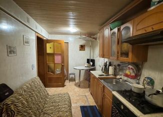 Продаю дом, 46.7 м2, деревня Вишняково, Центральная улица, 124