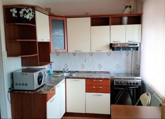 Сдача в аренду 2-ком. квартиры, 46 м2, Екатеринбург, улица Мичурина, 47, метро Динамо