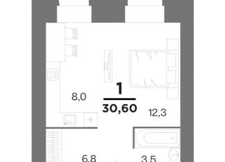 Продается квартира студия, 30.6 м2, Рязанская область