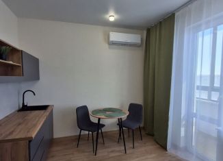 Продаю квартиру студию, 22.4 м2, Долгопрудный, Парковая улица, 52