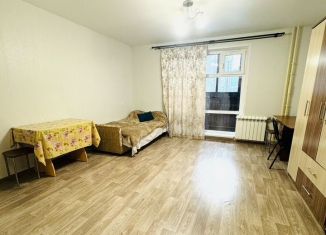 Сдается 1-ком. квартира, 35 м2, Красноярск, Светлогорский переулок, 12А, Советский район