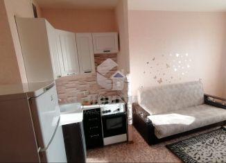 Сдам в аренду квартиру студию, 22 м2, поселок Зональная Станция, Ягодная улица, 1