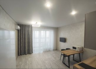 Сдам в аренду квартиру студию, 25 м2, Казань, улица Кул Гали, 29