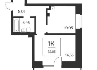 Продажа однокомнатной квартиры, 42.7 м2, Новосибирск, метро Площадь Ленина