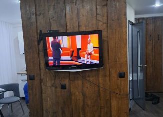 Сдается квартира студия, 30 м2, поселок городского типа Черемушки