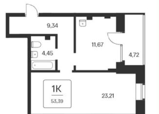 Продажа 1-ком. квартиры, 53.4 м2, Новосибирск, метро Площадь Ленина