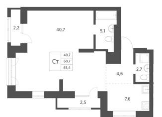 Продаю квартиру студию, 65.4 м2, Новосибирск, Красный проспект, 236