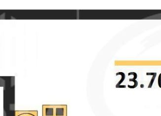 Продажа квартиры студии, 23.8 м2, Воронеж, улица Теплоэнергетиков, 17к3, Советский район