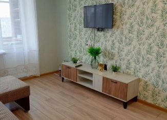 Сдается в аренду 2-комнатная квартира, 44 м2, Петергоф, Эрлеровский бульвар, 22