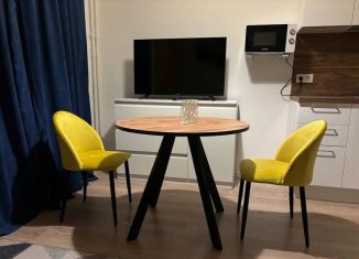 Сдаю в аренду квартиру студию, 25 м2, Мытищи, улица Стрельбище Динамо, 10