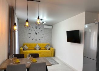 Продается однокомнатная квартира, 49 м2, посёлок городского типа Сириус, улица Станиславского, 22