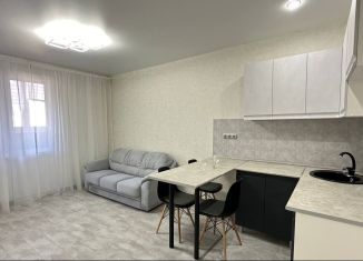 Сдаю квартиру студию, 25 м2, Оренбург, улица Автомобилистов, 13