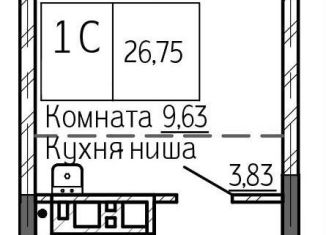 Продаю квартиру студию, 26.8 м2, Новосибирск, метро Площадь Ленина